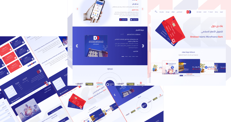 Bin Dowal Microfinance Bank
